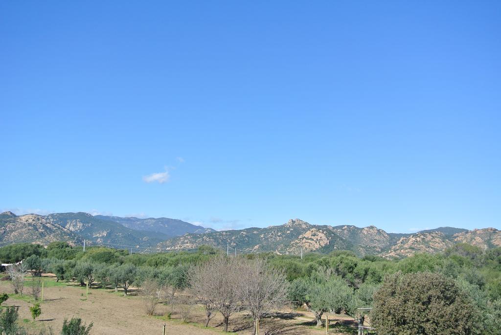 Casa La Vela Villa Cala Liberotto Værelse billede