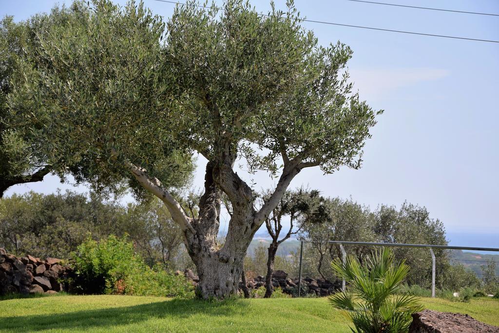Casa La Vela Villa Cala Liberotto Eksteriør billede